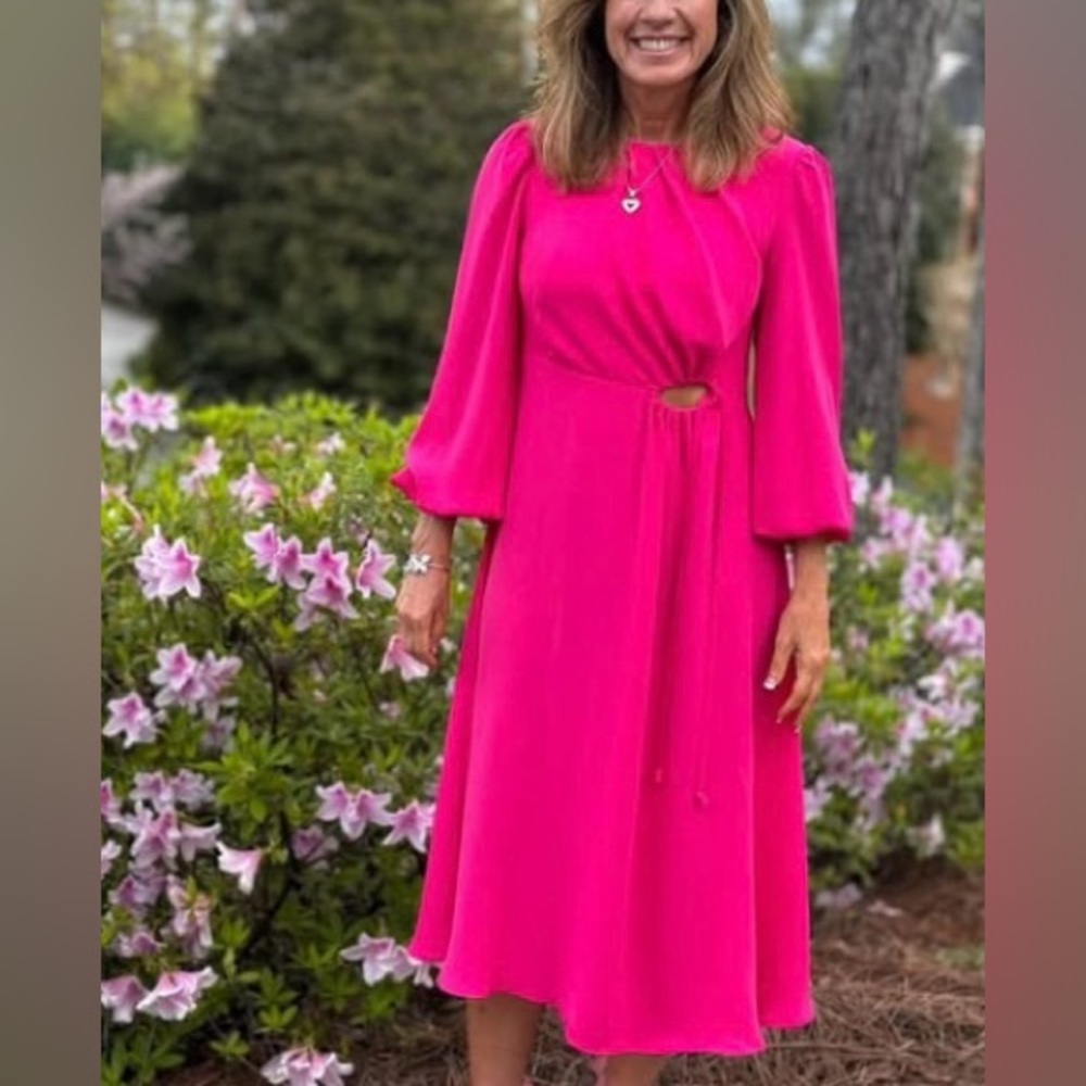 Cabi Delight Dress - Picture 4 of 15